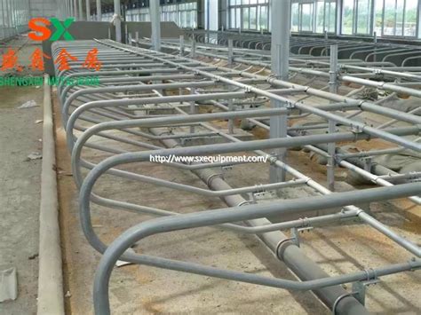 China Direct Sale Cow Farm Livestock Equipment Manufacturers and ...