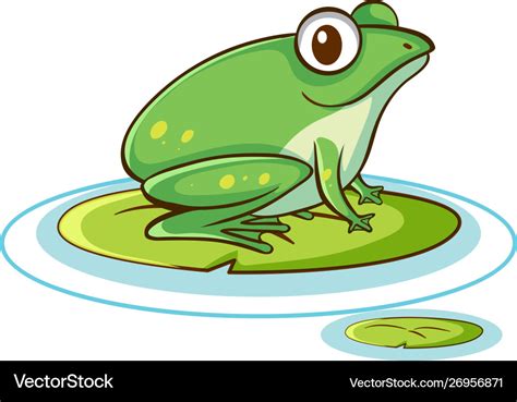 Green frog on white background Royalty Free Vector Image