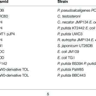 | Examples of plasmid-mediated bioaugmentation studies. | Download Table