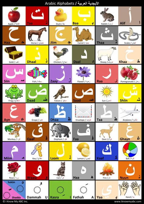 Arabic Alphabet Chart by I Know My ABC, 9780997139556