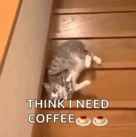 Cozy Morning GIFs - Get the best GIF on GIPHY