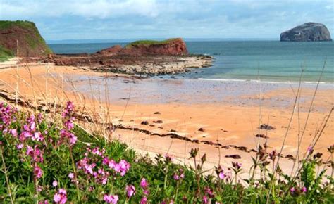 East Lothian beach | Scotland beach, North berwick, Beach