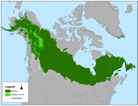 Boreal Forest Canada Map - Black Sea Map