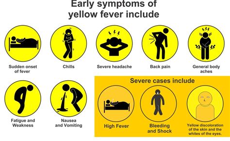 Yellow Fever in 7 Nigeria States - Why Vaccination is Critical ...