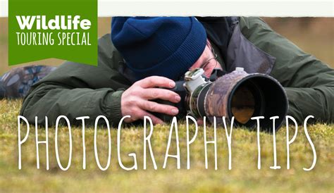 10 top tips for wildlife photography - Practical Caravan