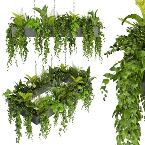 Collection Plant Vol 279 - Indoor - Hanging - 3D Model for VRay, Corona