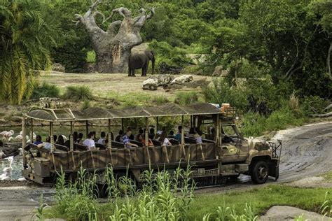 Disney Wild Africa Trek