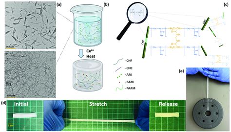 Schematic hydrogel fabrication overview and properties. (a ...