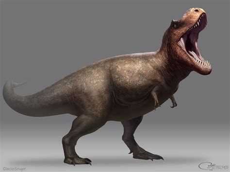 Tyrannosaurus rex | Dinopedia | FANDOM powered by Wikia