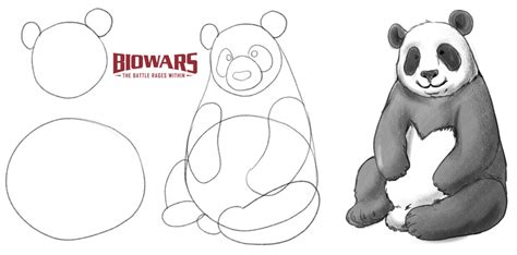 Easy Panda Drawing Guide In 5 Steps [Video + Illustrations]