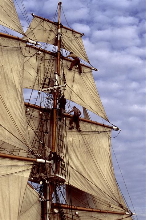 Crew in rigging of tall ship | Sailing ships, Tall ships, Tall ships art