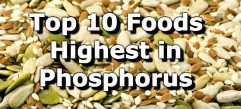 Top 10 Foods Highest in Phosphorus