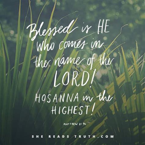 The Bible Guy | Hosanna!