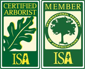 ISA Certified Arborists at Cascade Tree Works | Vancouver WA