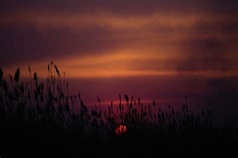 What is the Harvest Moon? - All About September's Full Moon - Feralwood ...