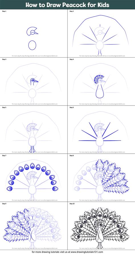 How To Draw A Peacock Step By Step : Learn to paint your own peacock ...