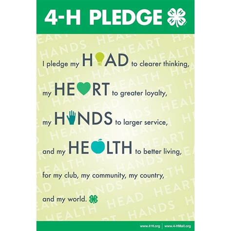 Laminated Pledge Poster | Pledge, 4 h club, Hand health