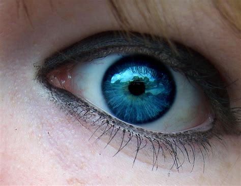 Beautiful blue eyes close up - Mobile wallpapers