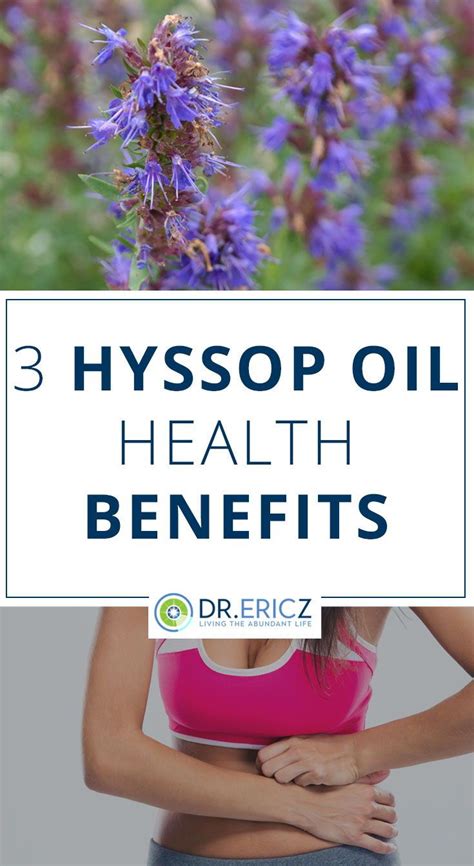 Hyssop Oil Uses for Cleansing the Body and Spirit | Health education ...