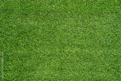 Green grass texture for background. Green lawn pattern and texture ...