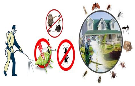 Did You Know About These Various Pest Control Methods? | Todaybloging.com