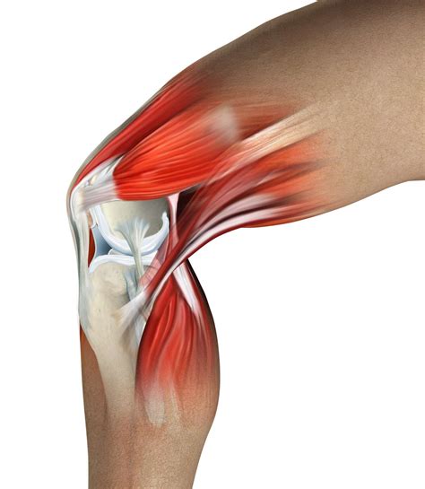 What Is Causing Your Knee Pain?