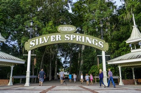 Monkeys of Silver Springs State Park Predicted to Double Their Population