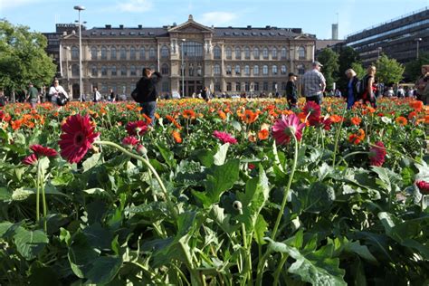 10 Best Museums To Visit in Helsinki