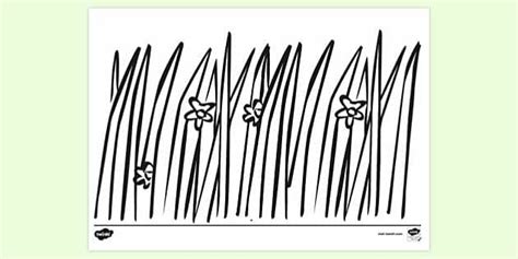 FREE! - Long Wavy Grass Colouring Sheet - KS1 Resources - Twinkl