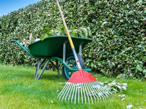 7 Spring Cleaning Tips for Your Yard - Dig This Design