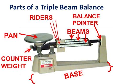 Label Parts Of A Triple Beam Balance Worksheet - The Best Picture Of Beam