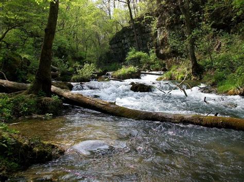 Greer Spring Trail is a 1.4 mile lightly trafficked out and back trail ...