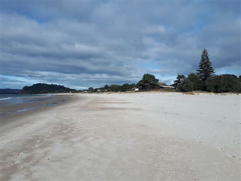 Whitianga Tours & New Zealand Trip | Enchanting Travels