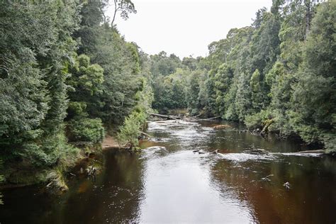 Savage River Bridge Map - Tasmania - Mapcarta