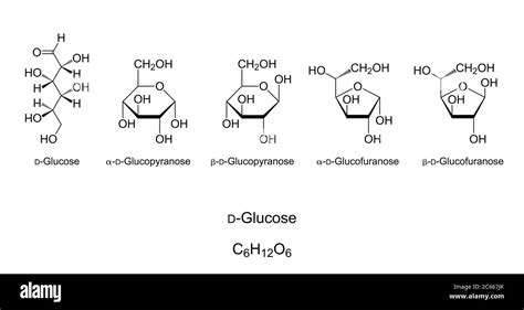 Glucose, monosaccharide, chemical structure. Simple sugar. Natta ...