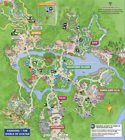 Animal kingdom map