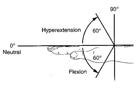 Range of Motion