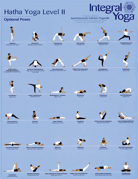 Your Yoga Class | Hatha yoga poses, Yoga moves for beginners, Basic yoga