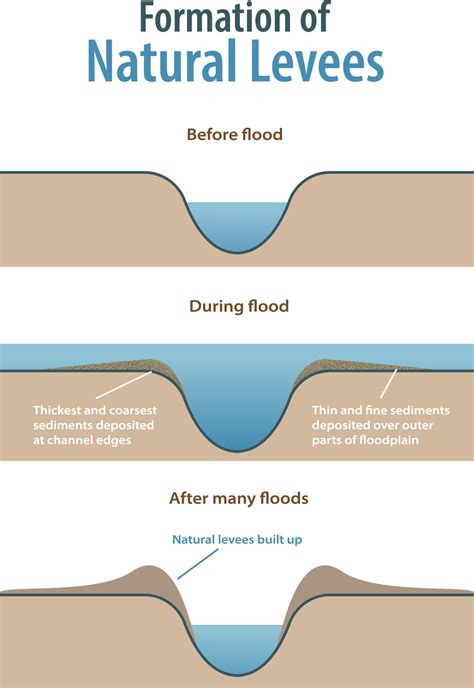 Levees Diagram