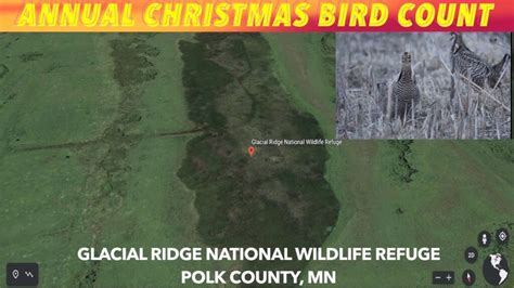 Annual Christmas Bird Count At Glacial Ridge National Wildlife Refuge ...