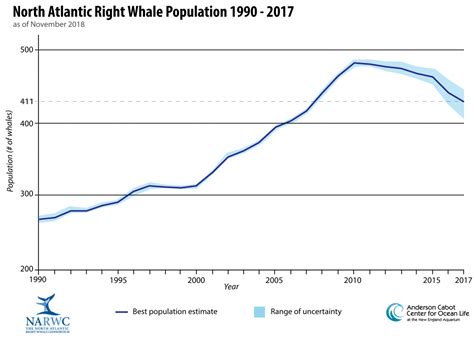 Blue Whale Population 2024 - Grier Arabella