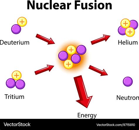 Diagram showing nuclear fusion Royalty Free Vector Image