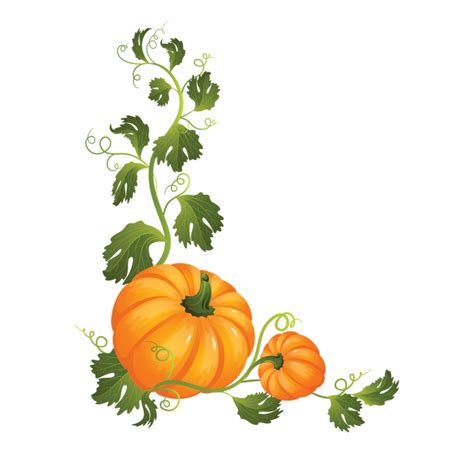 clipart pumpkin vines - Clip Art Library