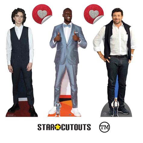 More Amazing Stars and Celebrity Cutouts [Video] | Cutout, Cardboard ...