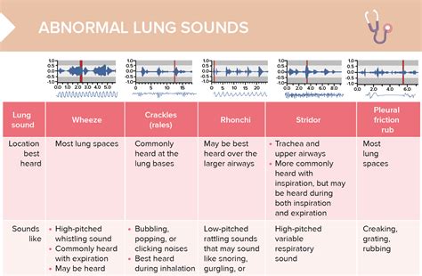 Adventitious Lung Sounds [+ Free Cheat Sheet] | Lecturio Nursing