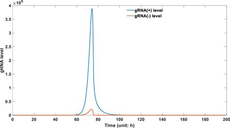 c. gRNA(+) and gRNA( ) dynamics after infection. | Download Scientific ...