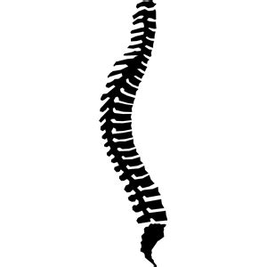 SPINE clipart, cliparts of SPINE free download (wmf, eps, emf, svg, png ...