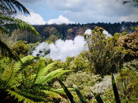 New Zealand Rotorua ,Waimangu Volcanic Valley. Stock Image - Image of ...