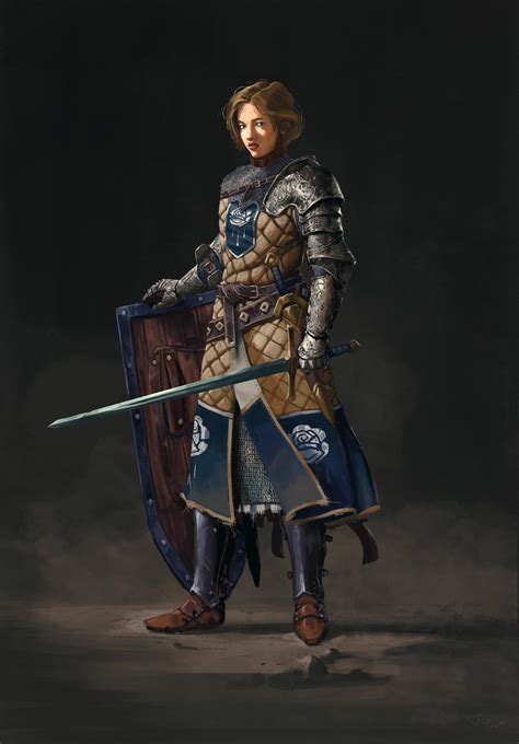 Knight art by Thibault Girard : r/armoredwomen