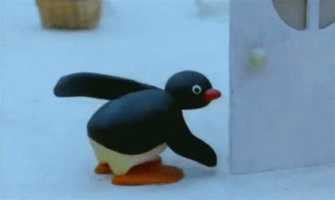 Pingu GIFs | Tenor